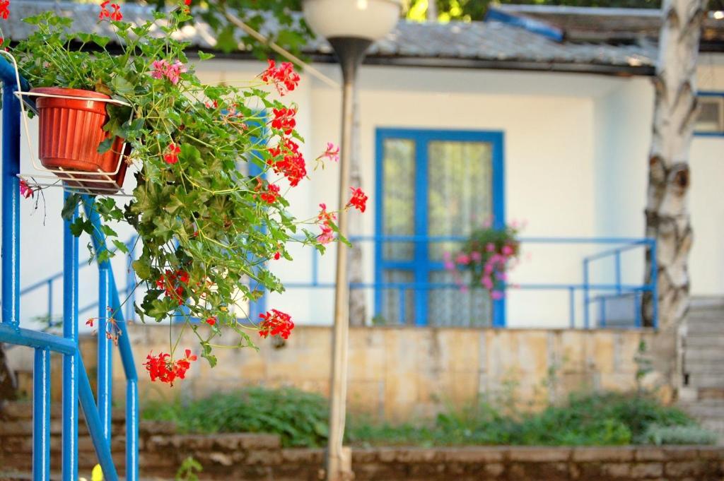 White Village Park Iskar Lake Pasarel Εξωτερικό φωτογραφία